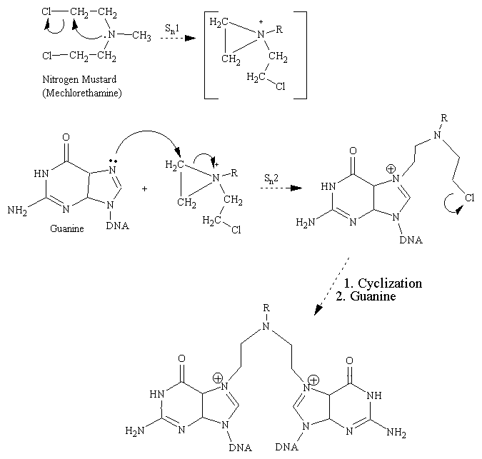 mechlorethamine-chlorethazine-chlormethine-mechlorethamine-oxide