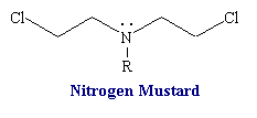 nitrogen-mus.gif (1586 bytes)