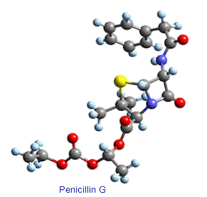 Penicillin_stick.gif (13451 bytes)