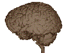 Brain.gif (27374 bytes)