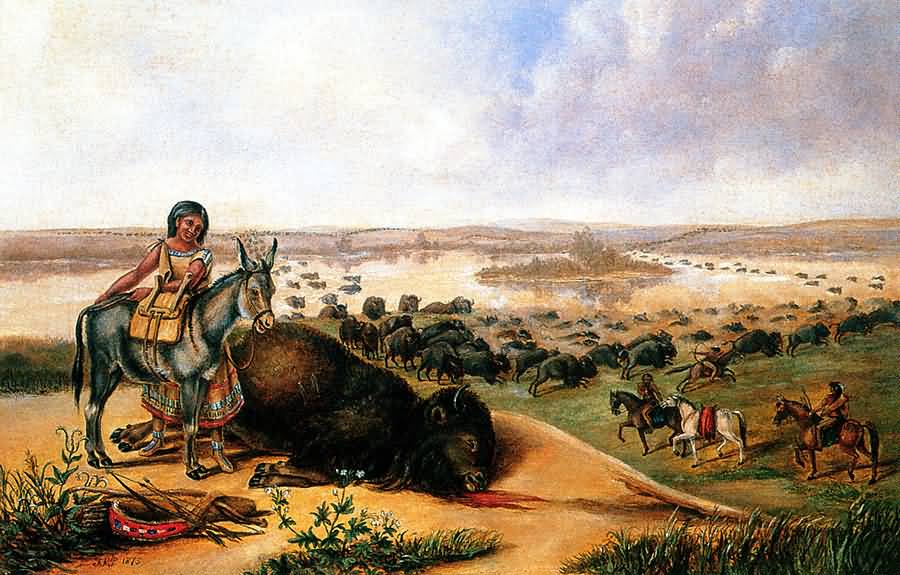 Titian Ramsay Peale : The Buffalo Kill.