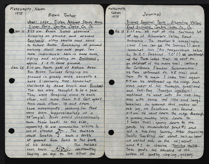 Sample  pages of the author's own field journal from 1975