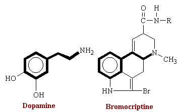 bromocriptine.gif (3076 bytes)