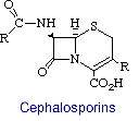 cephalosporin.gif (1745 bytes)