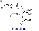 penicillins.gif (1779 bytes)