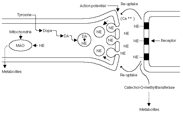 Figure 284.3