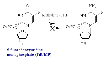 dUMP2.gif (3599 bytes)