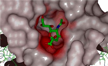 stereo_molecule_edit.jpg (22663 bytes)