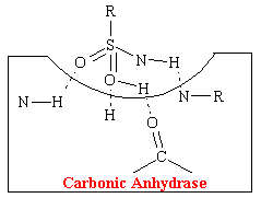 zolamide.gif (2353 bytes)