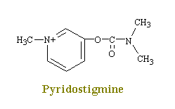 pydrostigmine.gif (1953 bytes)