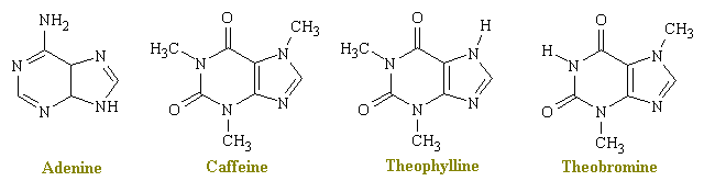 cafeine.gif (4046 bytes)