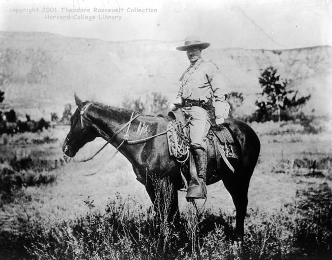 Cowboy Roosevelt