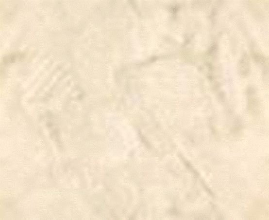 The image �http://www.ambergriscaye.com/wallpaper/art/backsandy.jpg� cannot be displayed, because it contains errors.
